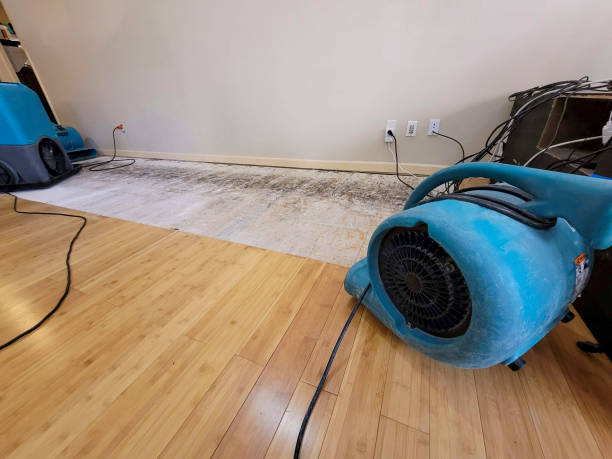 Professional Sewage Cleanup technician working in Poplarville, MS